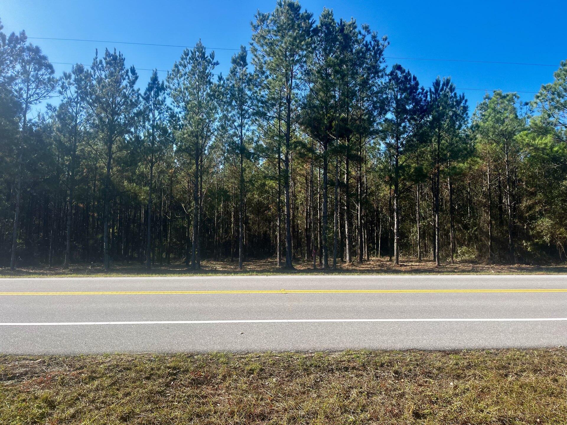 Walton County Acreage CR 0605 - Land