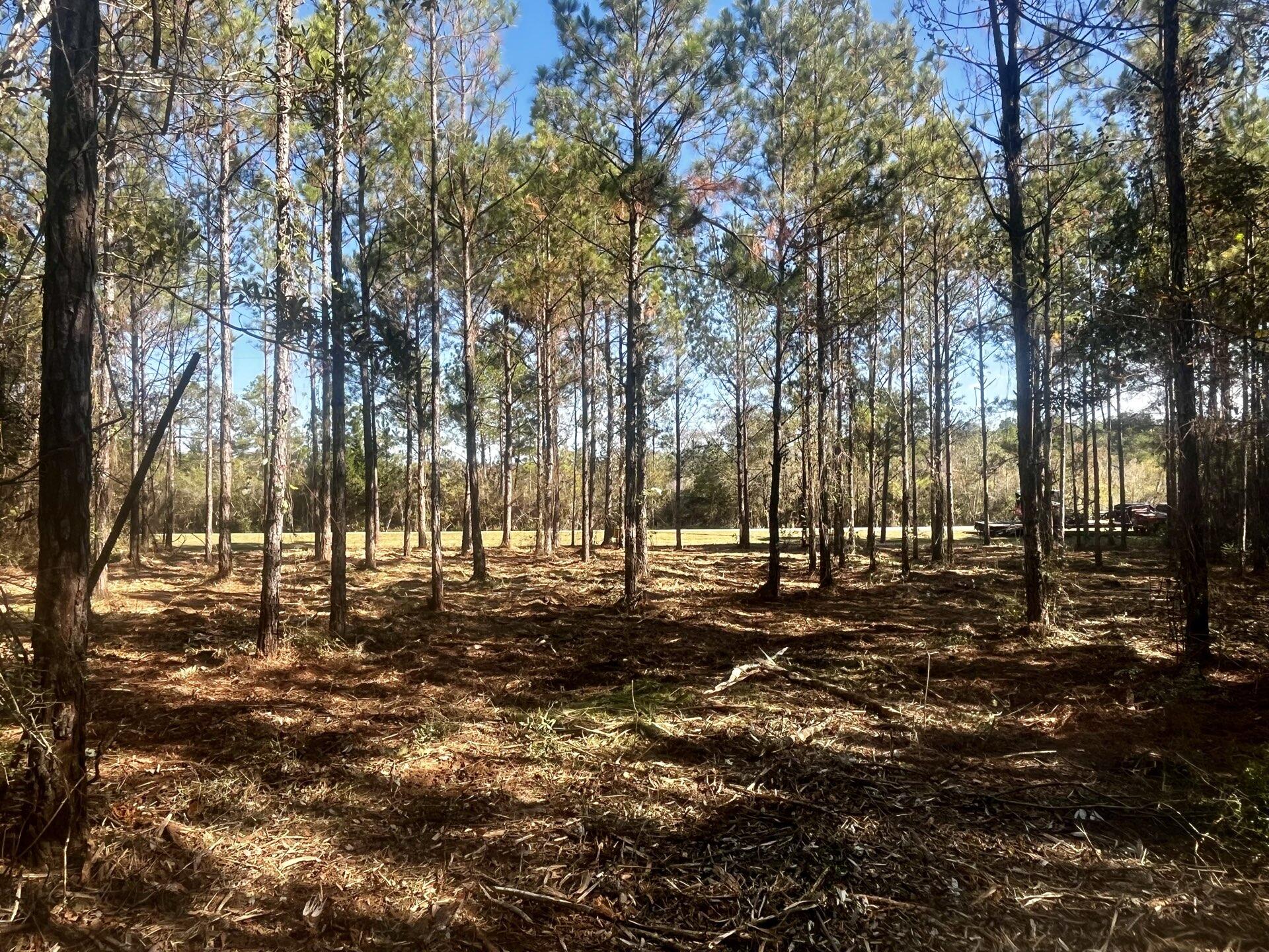 Walton County Acreage CR 0605 - Land