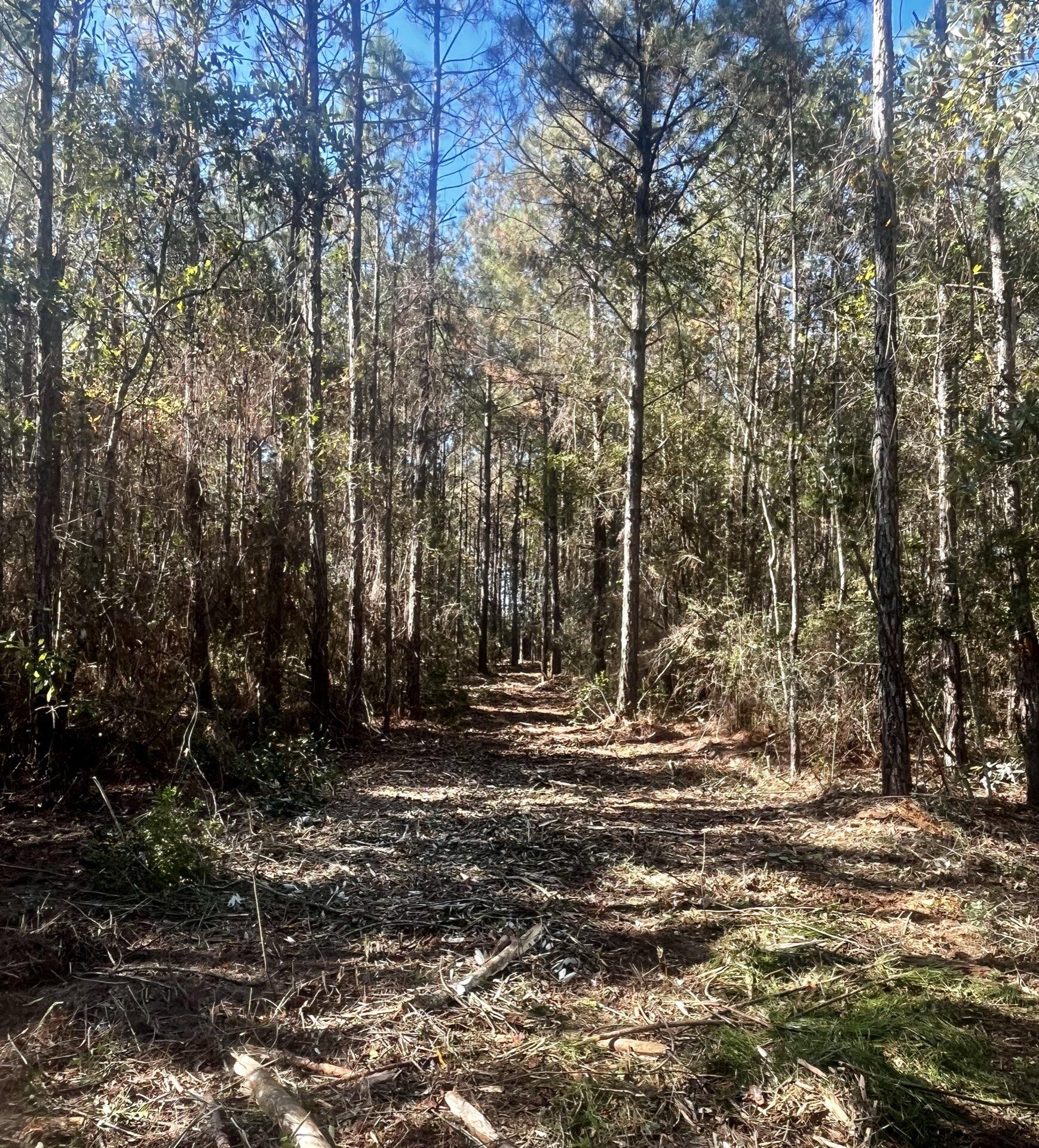 Walton County Acreage CR 0605 - Land