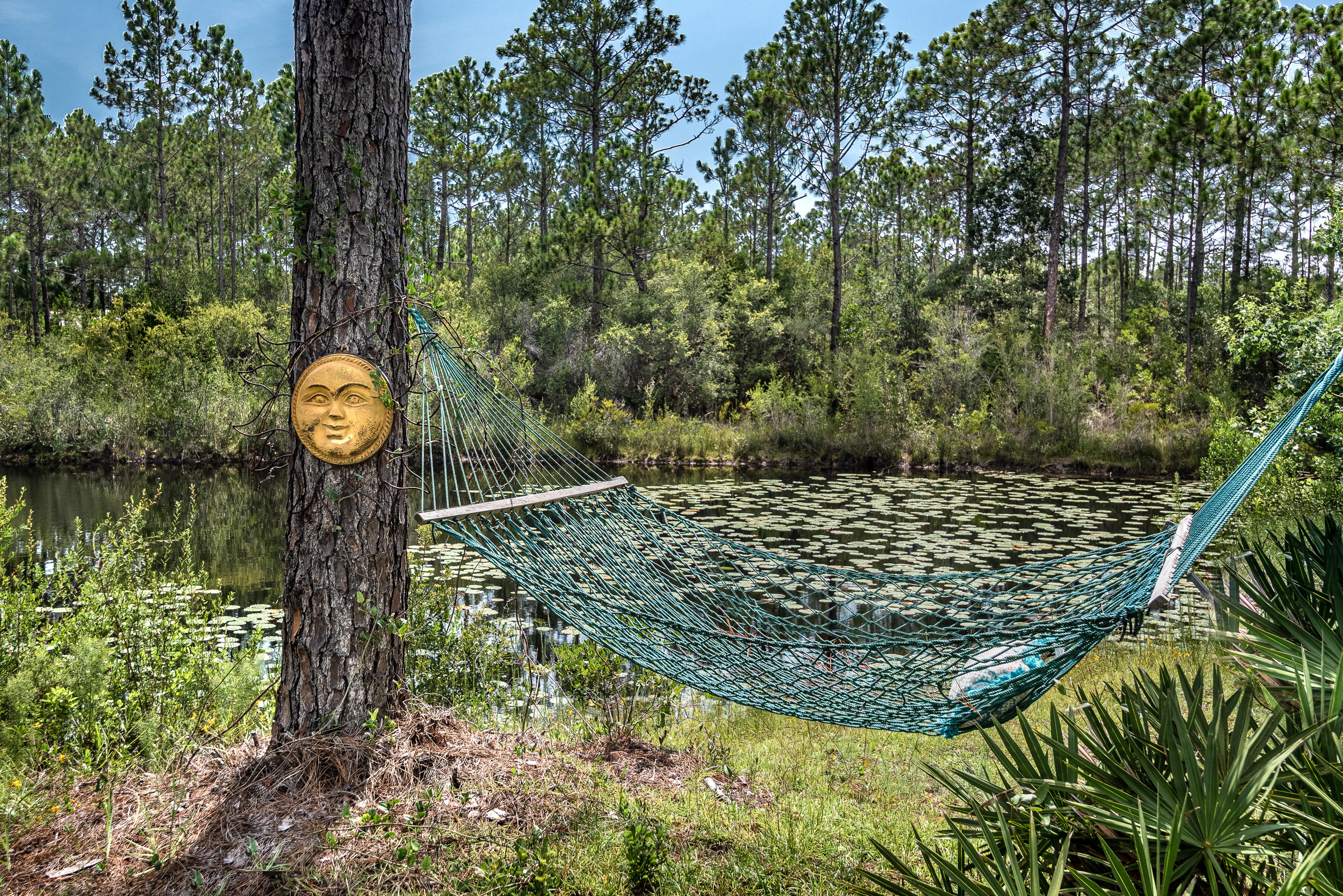 SOMERSET BRIDGE AT SEAGROVE - Residential