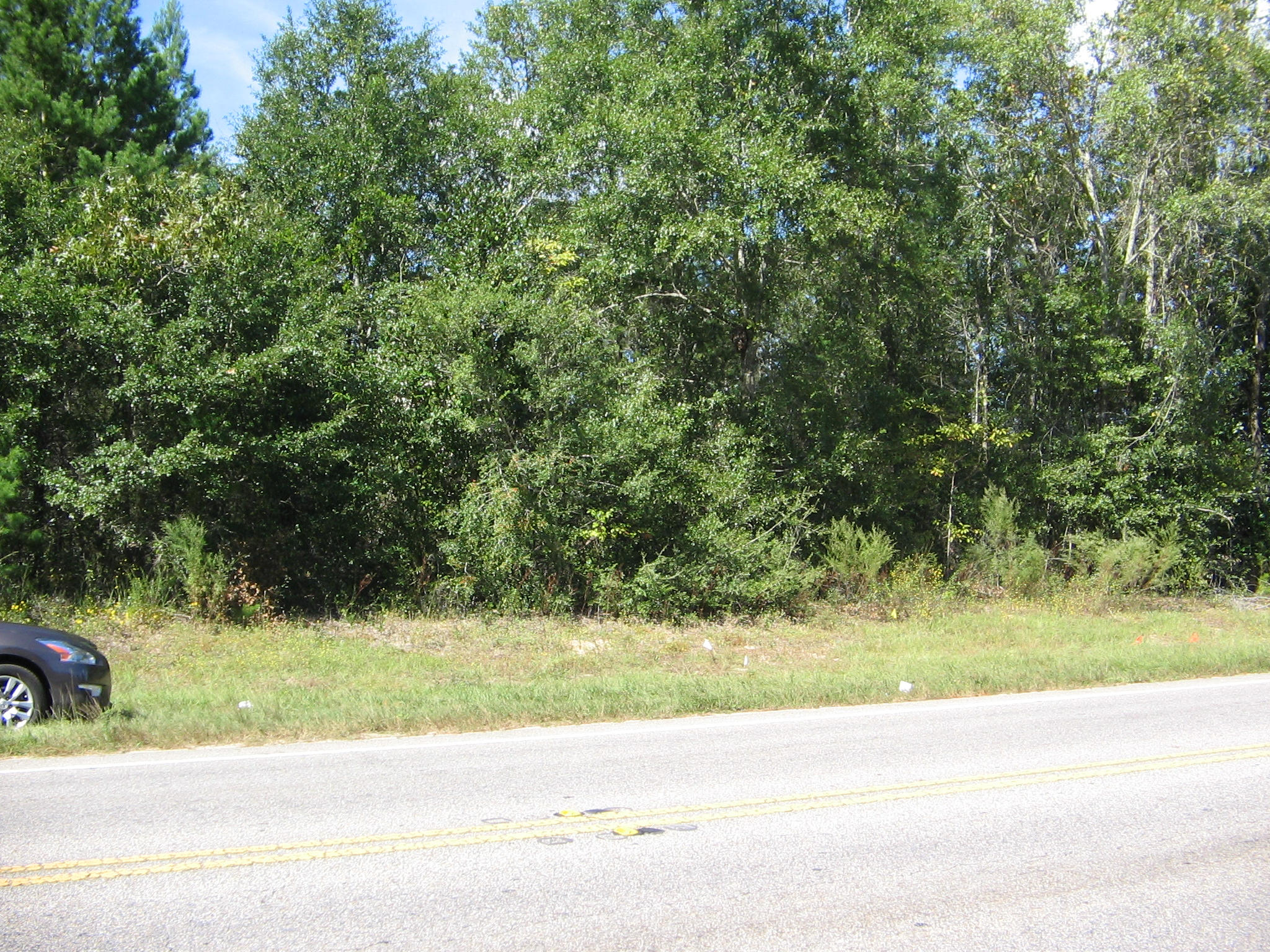 Nice wooded lot on busy Hwy 331 N. City water is on the east side of Hwy 331. Buyer to verify any important information. Owner is firm on price.