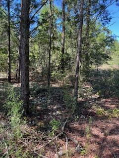Listing is for 2 Parcel ID's (see Legal Description above) Total lot size is 100' x 100' Property is level and cleared. Located just off paved road at corner of Woodland Blvd and W. Buckeye Street. Not far from I-10 exit. Community water available. Septic Tank needed. Great place to build your forever home or put the trailer of your choice. SIGN ON PROPERTY