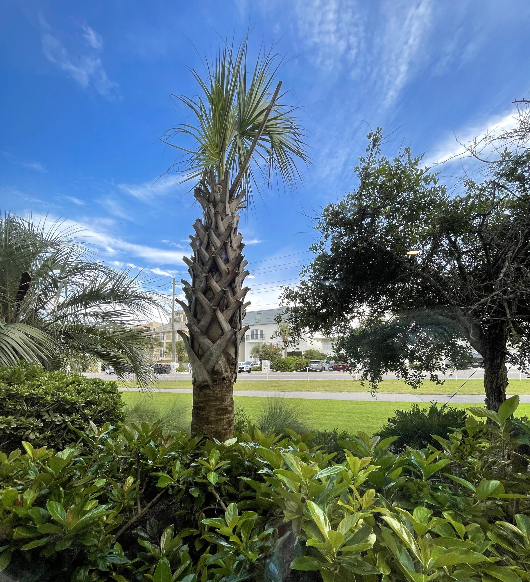 ALERIO - Residential