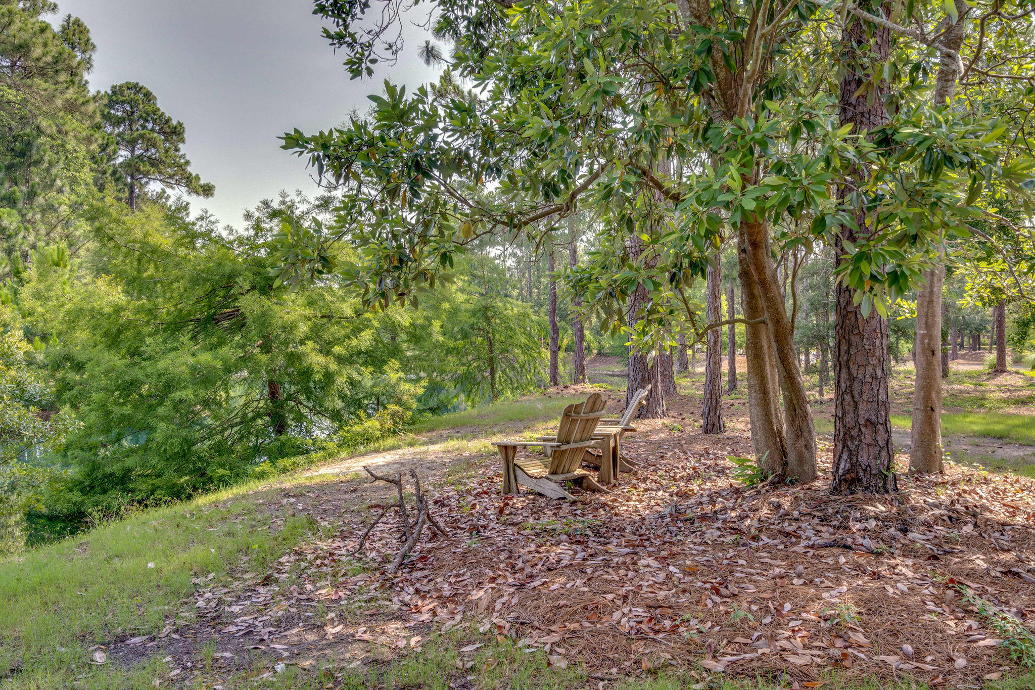 LAUREL GROVE - Residential