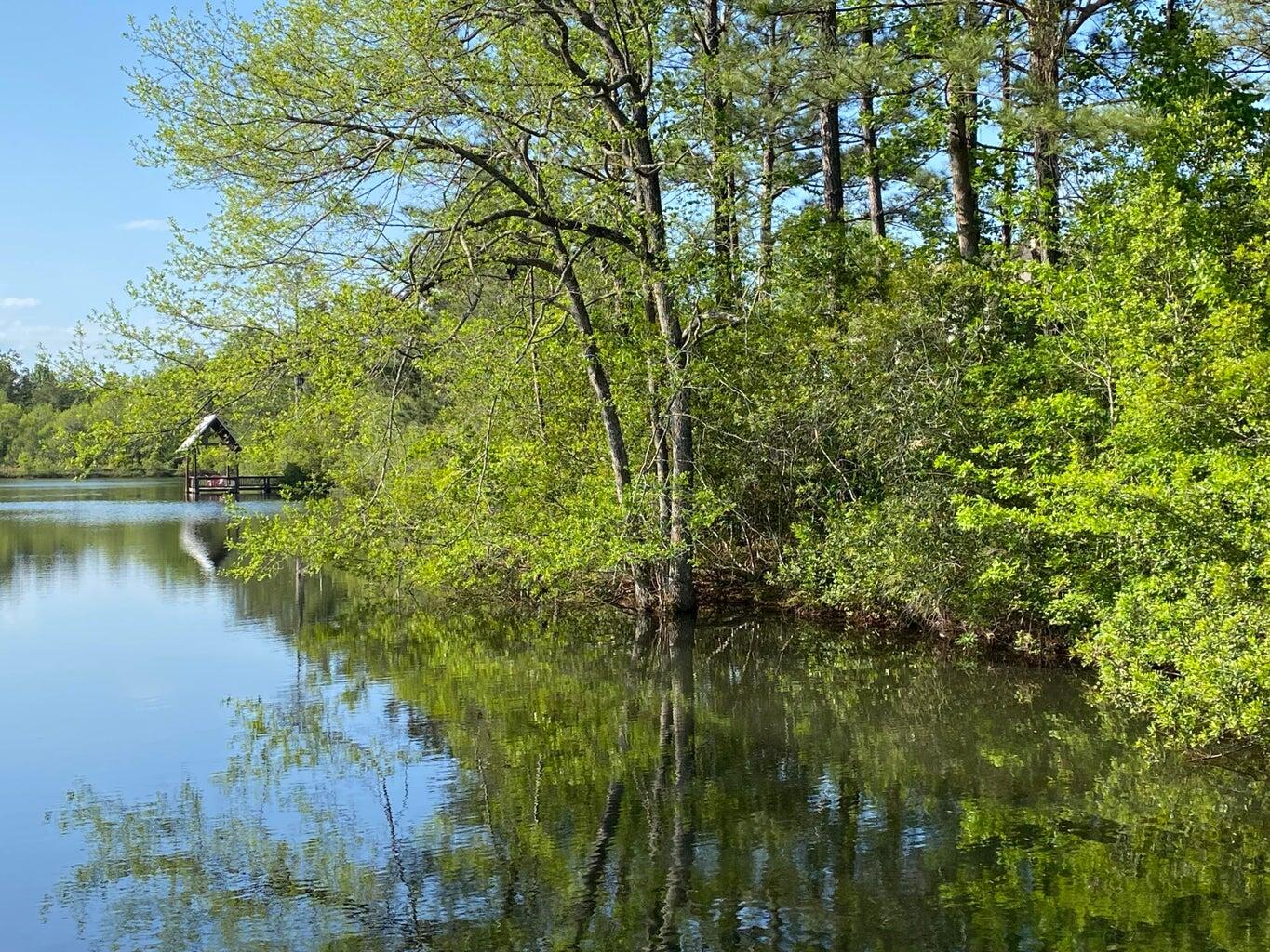Lagrange Landing - Phase III - Land