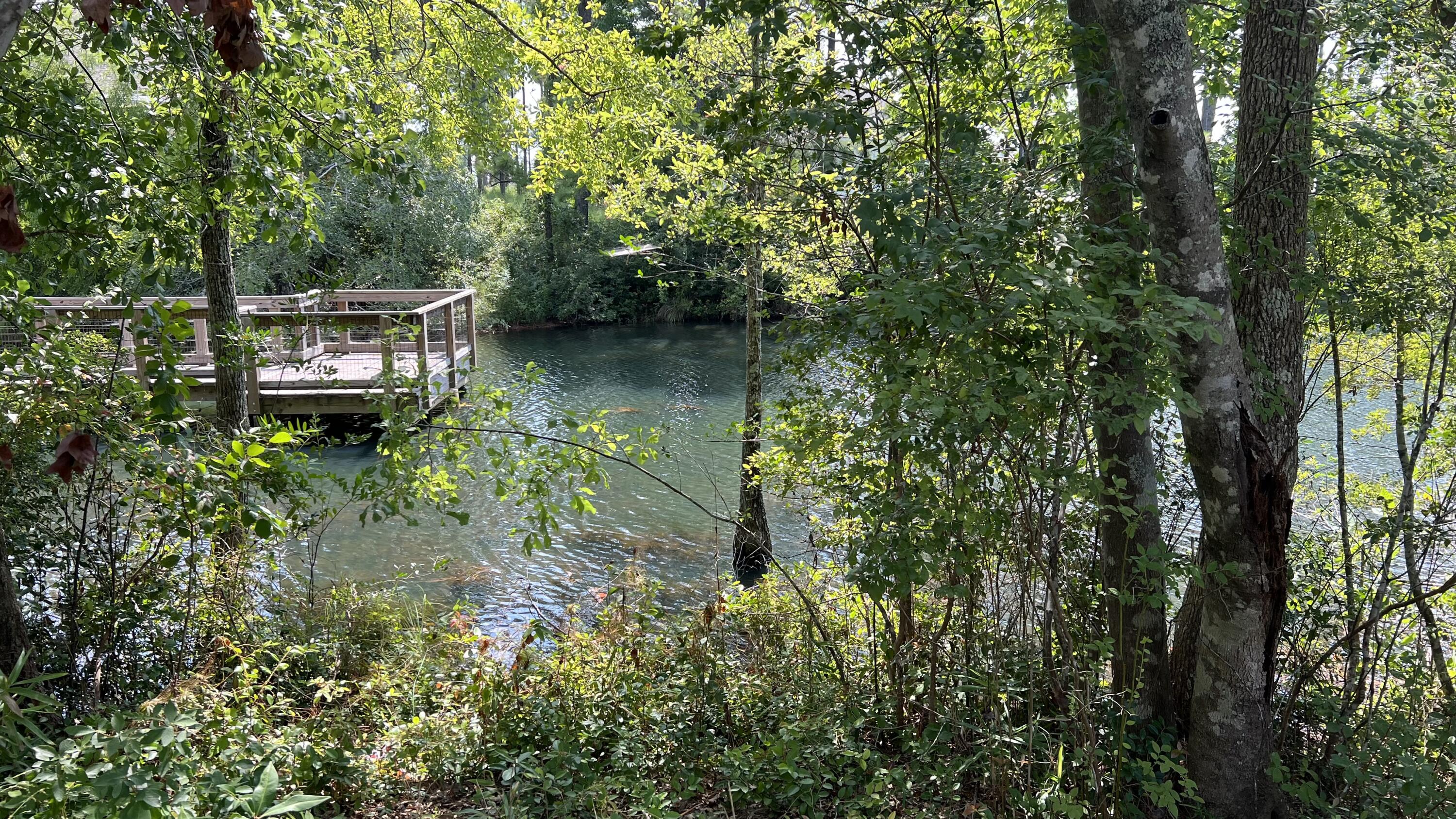 READY-TO-BUILD SINGLE FAMILY HOME LOT and PRICED TO SELL! *131+/- feet of Waterfront* + *Tap Fees paid and utilities already installed at property* + *No HOA dues* + *Oversized 0.32 acre lot*.... there's so much to love about this property! Phase III is not governed by an HOA, therefore no dues, build restrictions, etc for this lot. Great location on the south side of Freeport (20 minutes to the beaches) and very close to schools, shopping, and restaurants in Freeport.