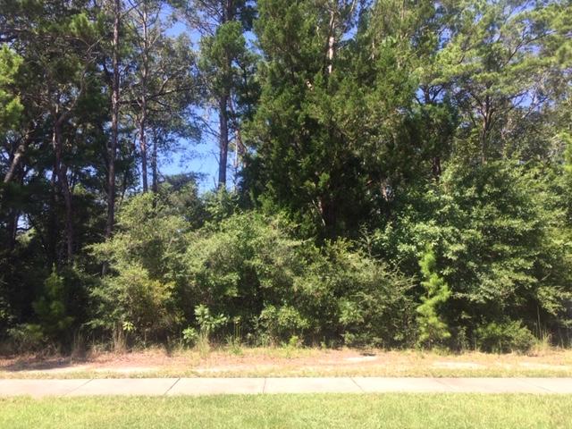 LAGRANGE LANDING - Land