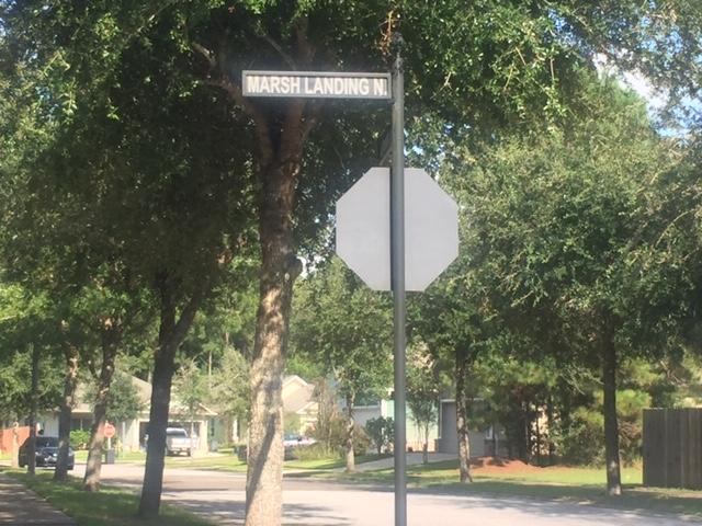 Charming Walkable, Golf cart community in the heart of Freeport. This homesite is wooded behind it and the lake is steps away, located on the southern corner. This is A hidden jewel & can be accessible from Hwy 20 or Hwy 331. This quaint community hosts a beautiful pool, pavillion & courtyard, park. Ideal location behind Publix,restaurants and shopping. Hop over the bridge to enjoy the most beautiful beaches within 15 minutes.This community is growing quickly & this home site is one rare with private appeal.