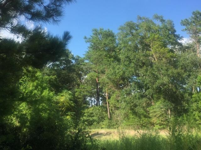 LAGRANGE LANDING - Land