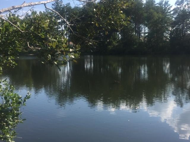 LAGRANGE LANDING - Land