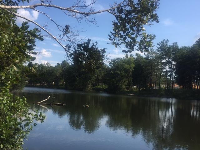 LAGRANGE LANDING - Land