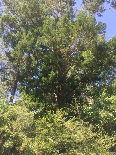 LAGRANGE LANDING - Land