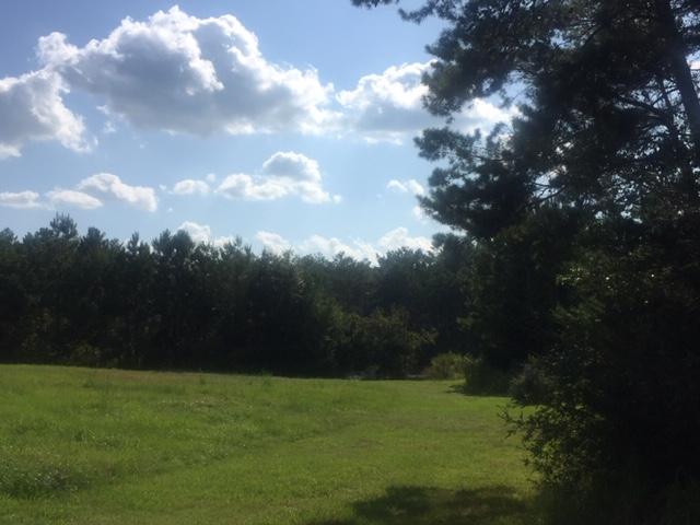 LAGRANGE LANDING - Land