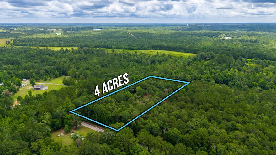 You do not want to miss this opportunity to own four acres just outside of the DeFuniak Springs city limits! Most of the underbrush has been cleared off of this property leaving beautiful mature trees throughout. It is located on a paved road. There is no homeowner's association and you are still less than 5 minutes from town.