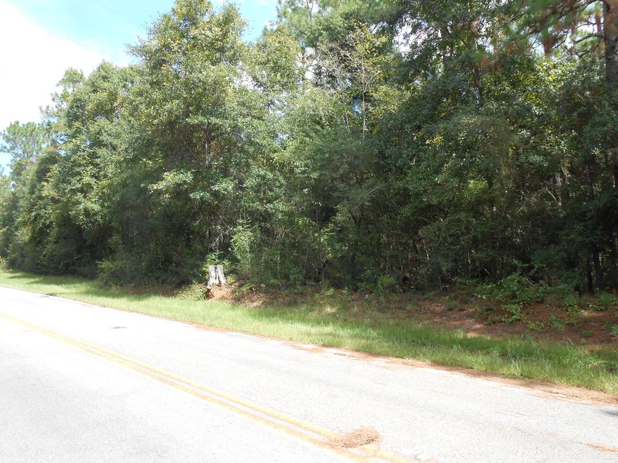 Great parcel of land in the North-end of Walton County. This 2.41 acres (MOL) has paved road frontage on the North and East side of the land. Bring all offers for this parcel, paved road frontage is a plus and offers a quite country setting. Buyer to verify information.