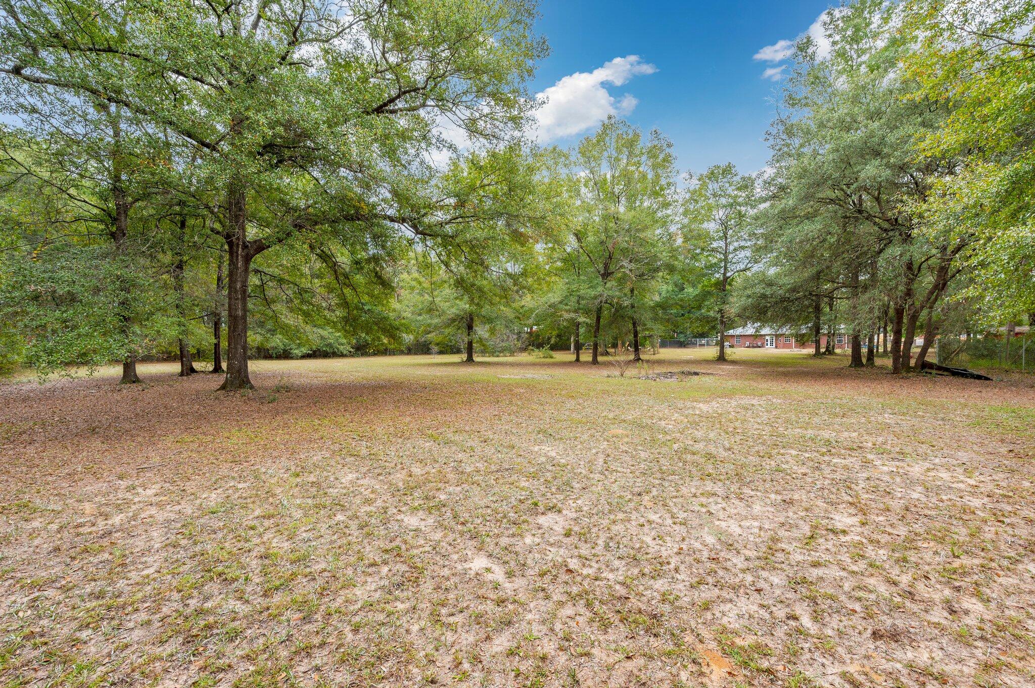 Royal Poinciana - Residential