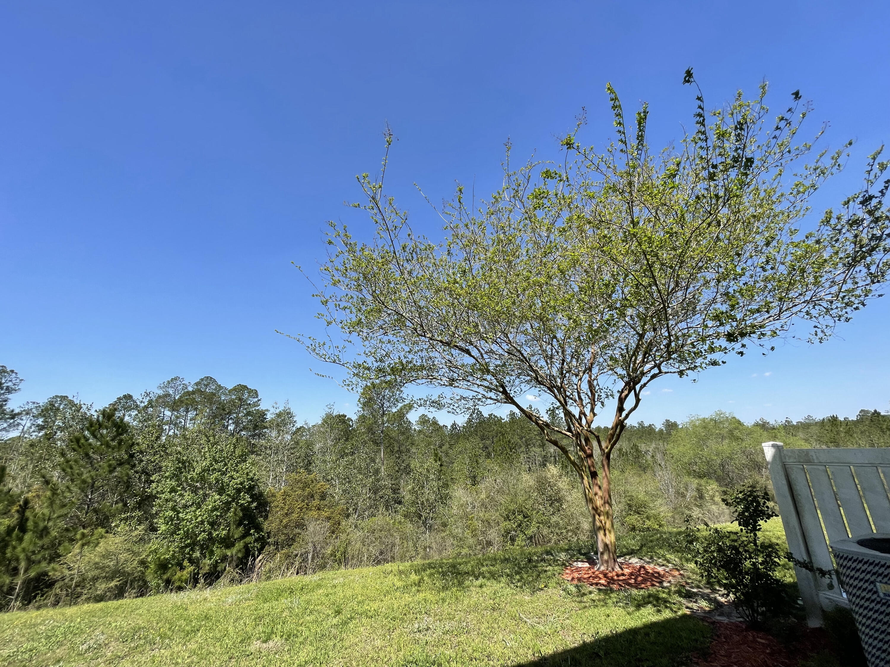 EAGLES LANDING S/D - Residential