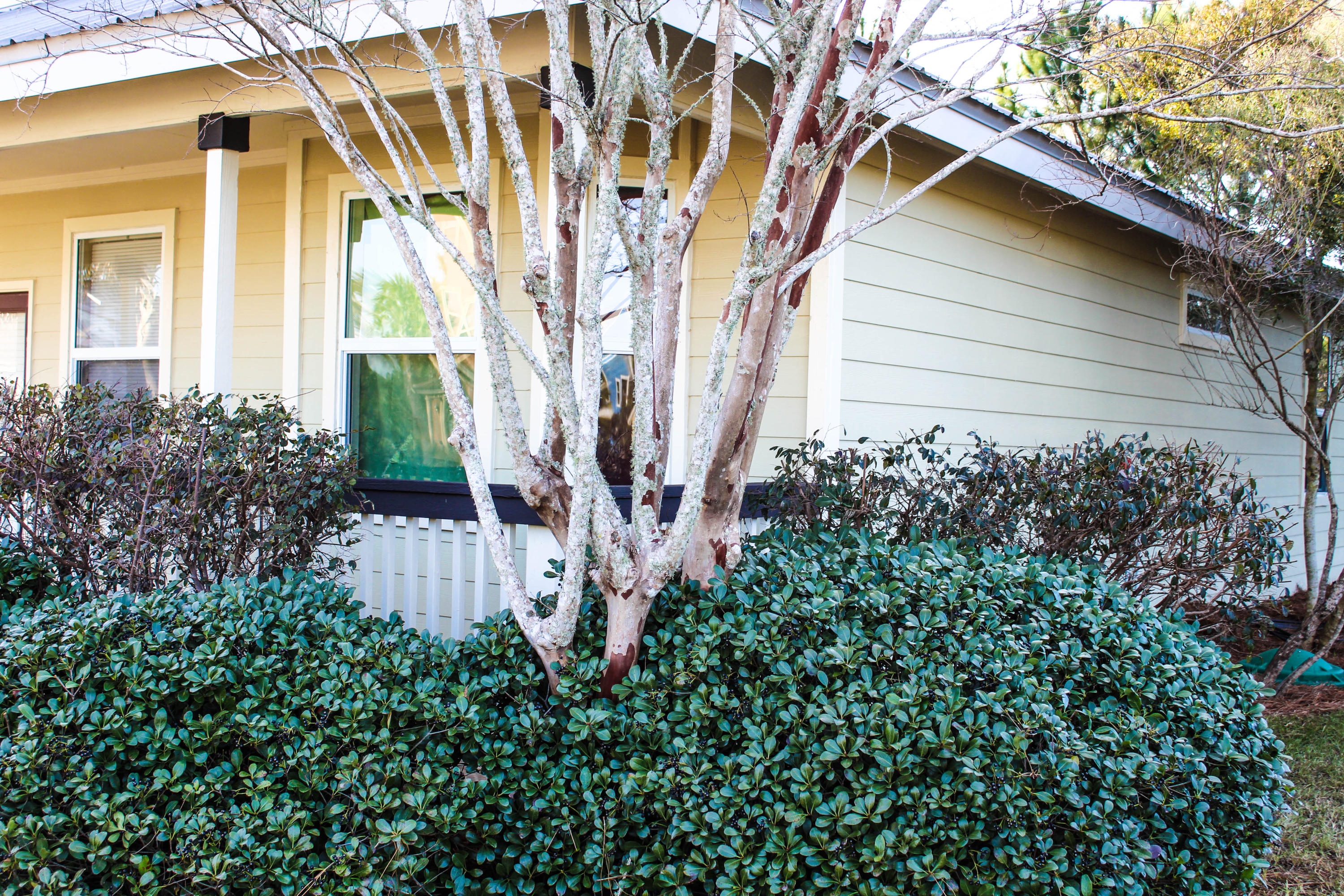 SHORTLINE LAKE ESTATES - Residential