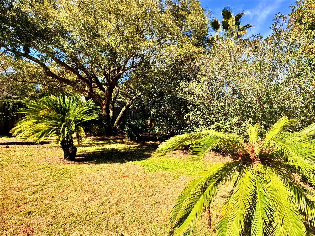 BISCAYNE POINTE - Residential