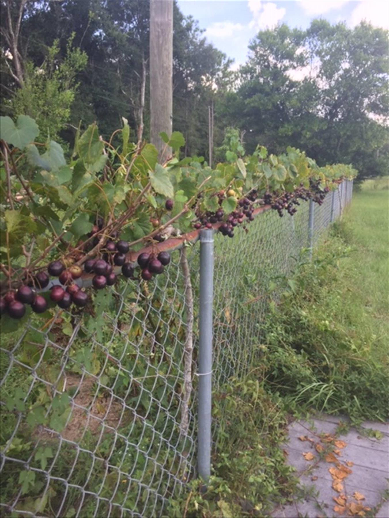 County District 1 - Residential