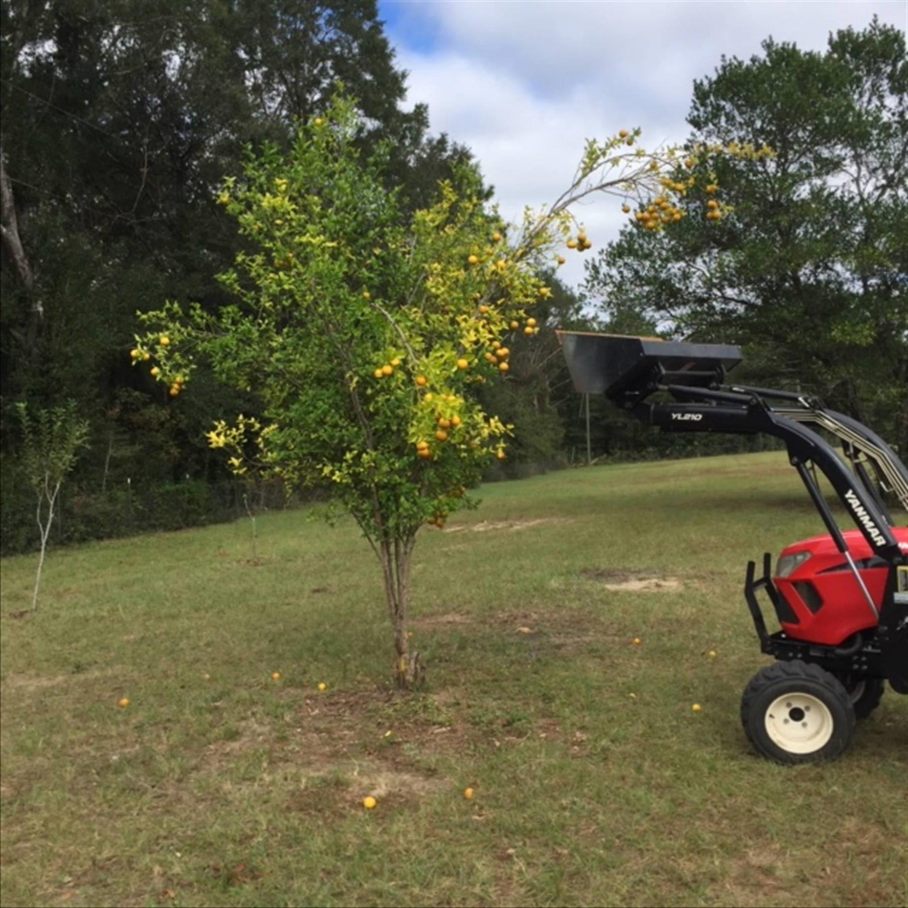 County District 1 - Residential