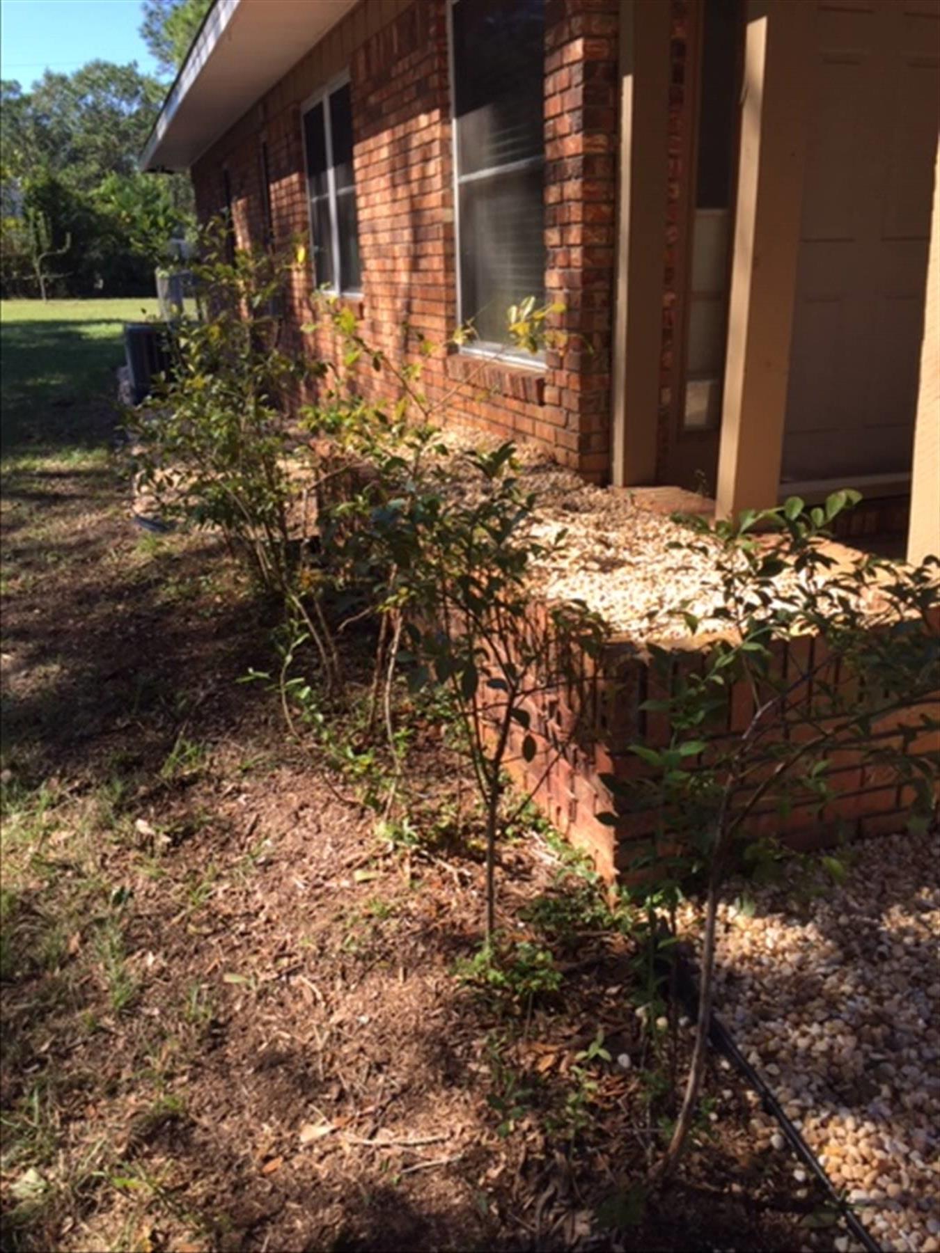 County District 1 - Residential