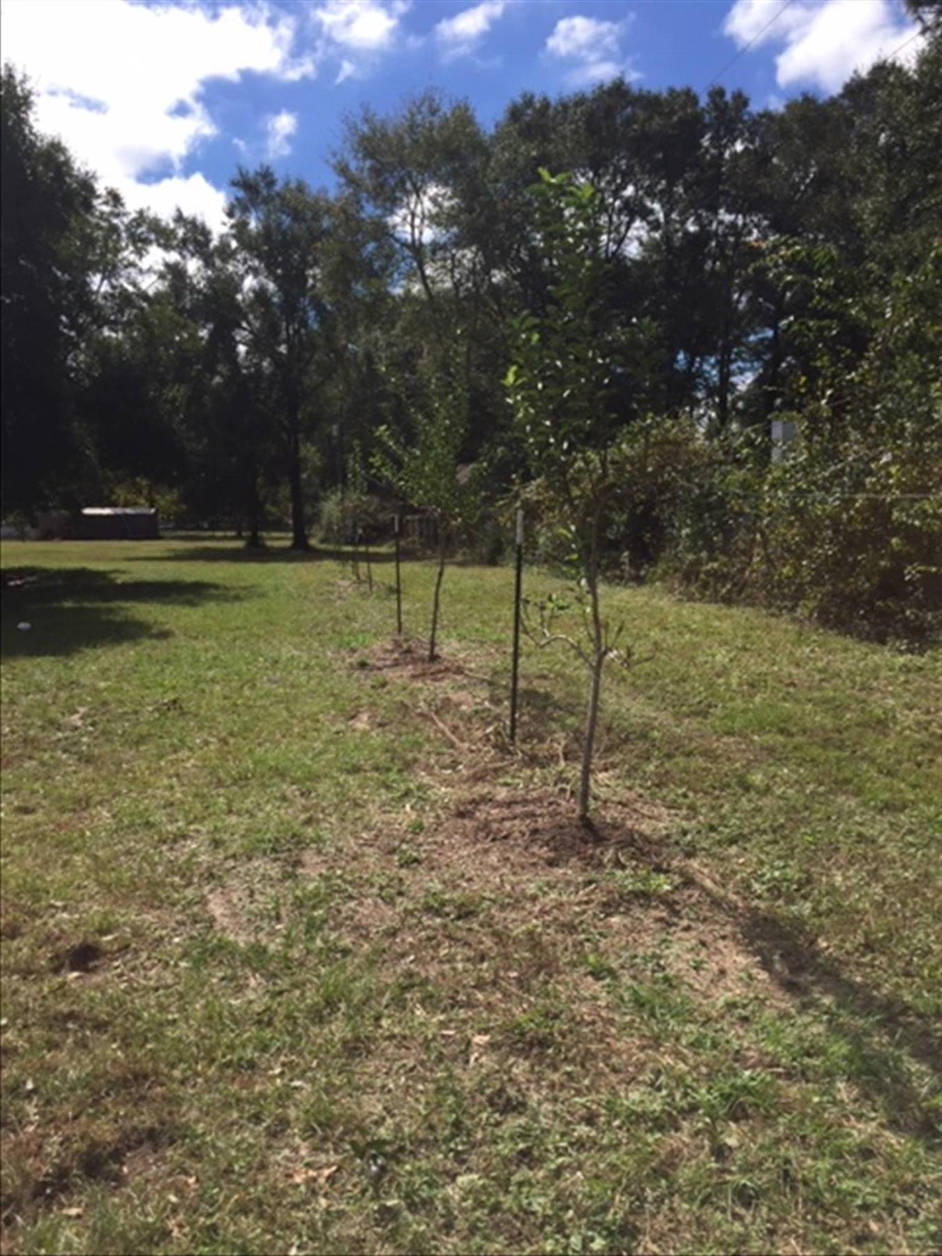 County District 1 - Residential