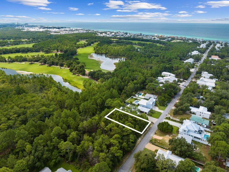 Embrace the essence of coastal living with this prime Seacrest lot, perfectly situated to offer both serene natural surroundings and access to luxurious amenities along Scenic Highway 30A. This ample lot provides a fantastic opportunity to build your ideal home, whether it's for year-round living or a vacation retreat. What sets this property apart is its prime location. To the north, a peaceful state forest offers a haven for nature enthusiasts. To the east, you'll find the distinguished Tom-Fazio-designed golf course at Watersound Camp Creek, an ideal spot for golf lovers. To the south, the stunning Gulf of Mexico is just a short distance away with beach access at the end of Seacrest Drive. This property is located on a quiet street, providing a tranquil environment perfect for a primary residence. Nearby, upscale communities such as Alys Beach and Rosemary Beach enhance the area's charm, offering a variety of dining, shopping and recreational experiences. To the west, the lively Big Chill entertainment and dining hub, along with Seagrove Beach, provides additional options for fun and relaxation.