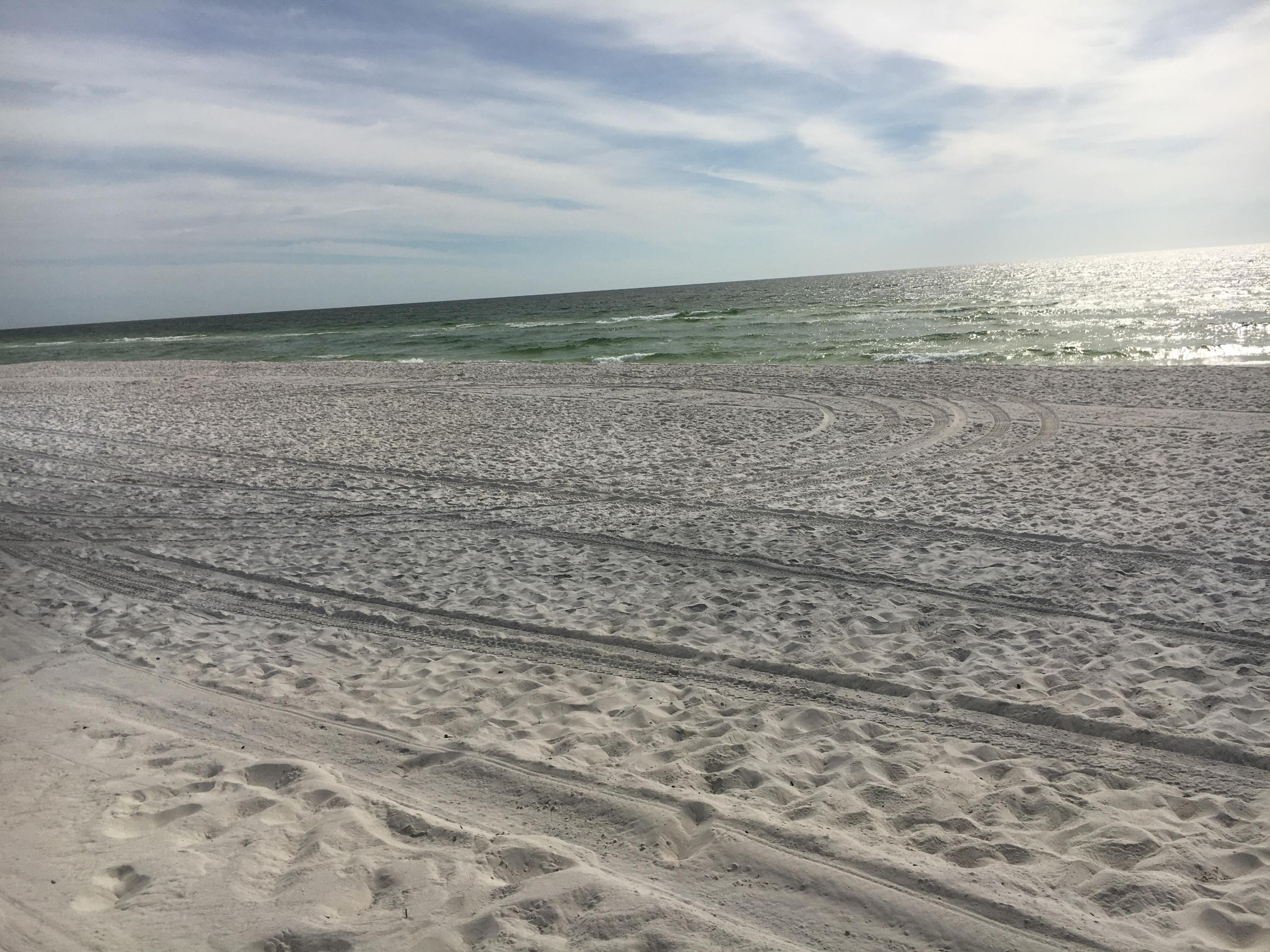 AUDUBON POINT - Residential