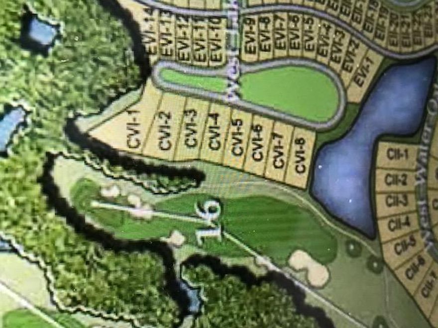 This beautiful golf course lot is on the 16th hole of Wild Heron and is PRICED TO SELL! This Community has so many amenities, all for $525 per quarter - sits on the Lake Powell 750 acre Coastal Dune Lake, has 24 hour guarded and gated security, dock and a boat house with kayaks and canoes for homeowners use, a gorgeous Lakeside pool with jacuzzi, a state of the art fitness center, an outdoor fireplace and party area, an outdoor fire pit and gathering spot, and many walking/running/biking trails. Great place for the outdoor enthusiast. The PRIVATE Sharkstooth Golf Course is located here as well.