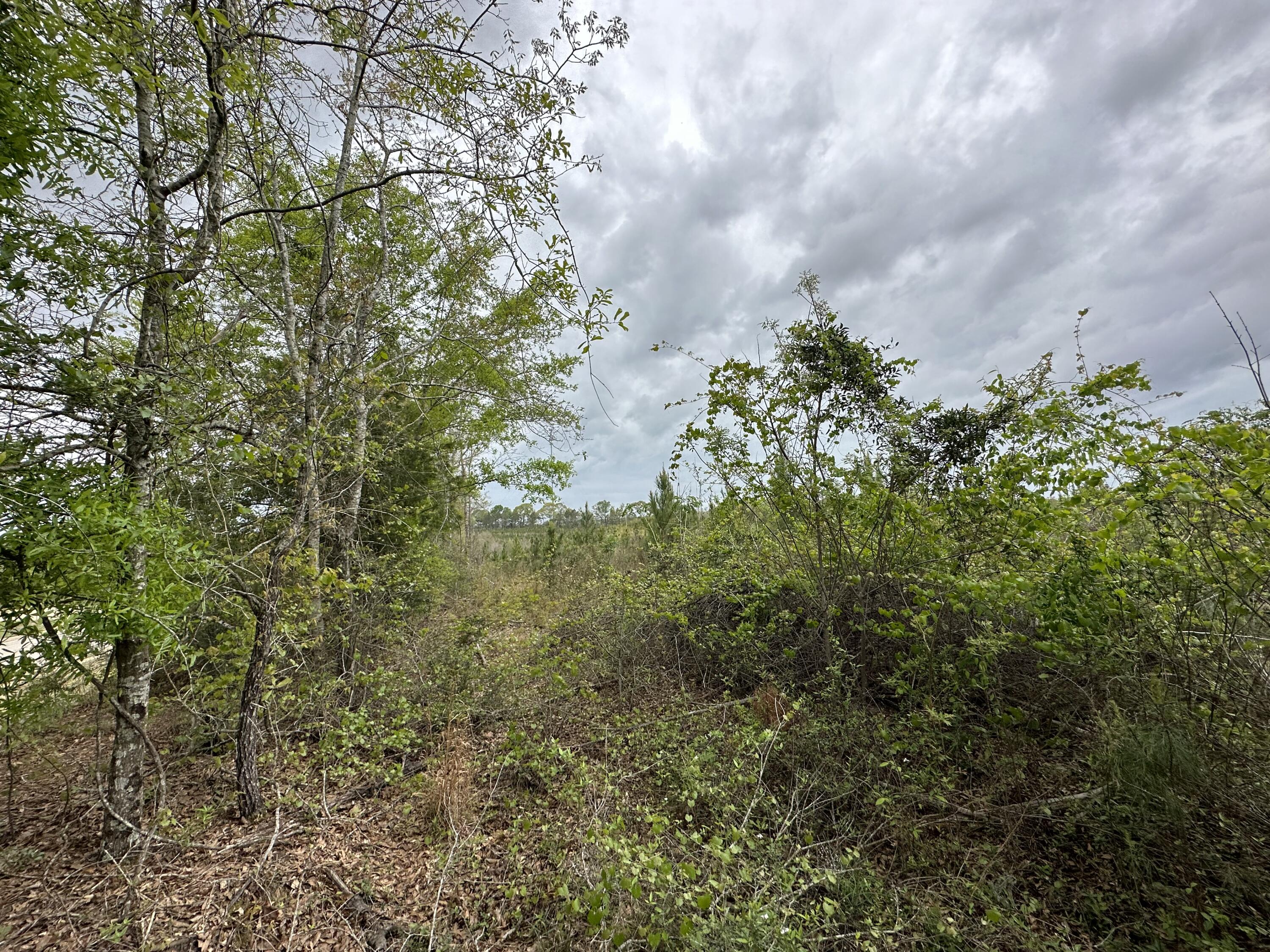 METES & BOUNDS - Land