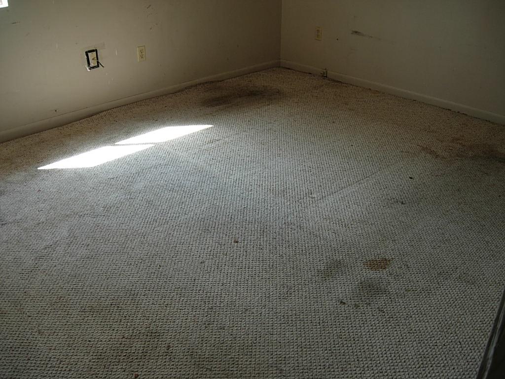 WYNNEHAVEN BEACH ESTATES 1ST ADDN - Residential