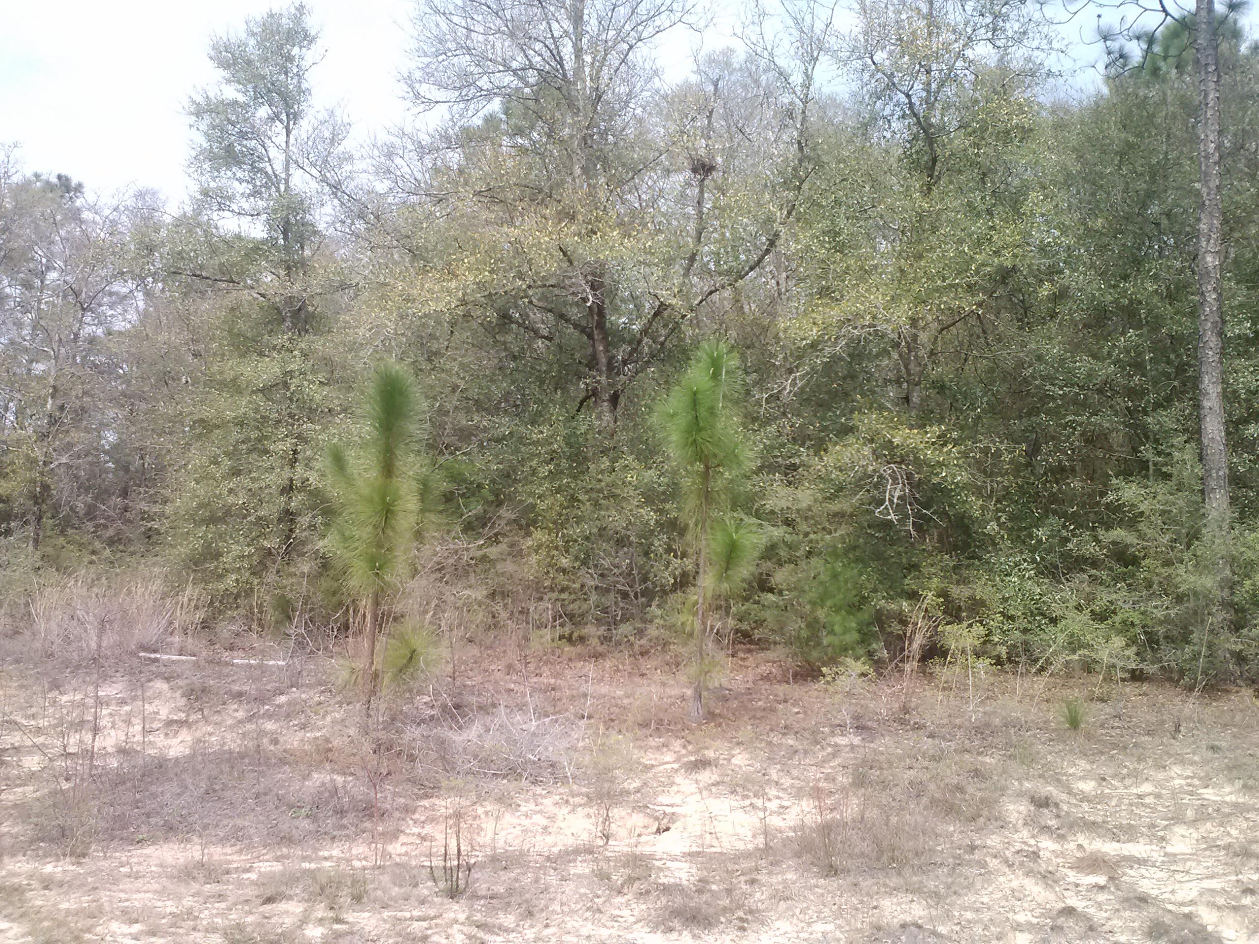 Squire Ridge - Residential Lease