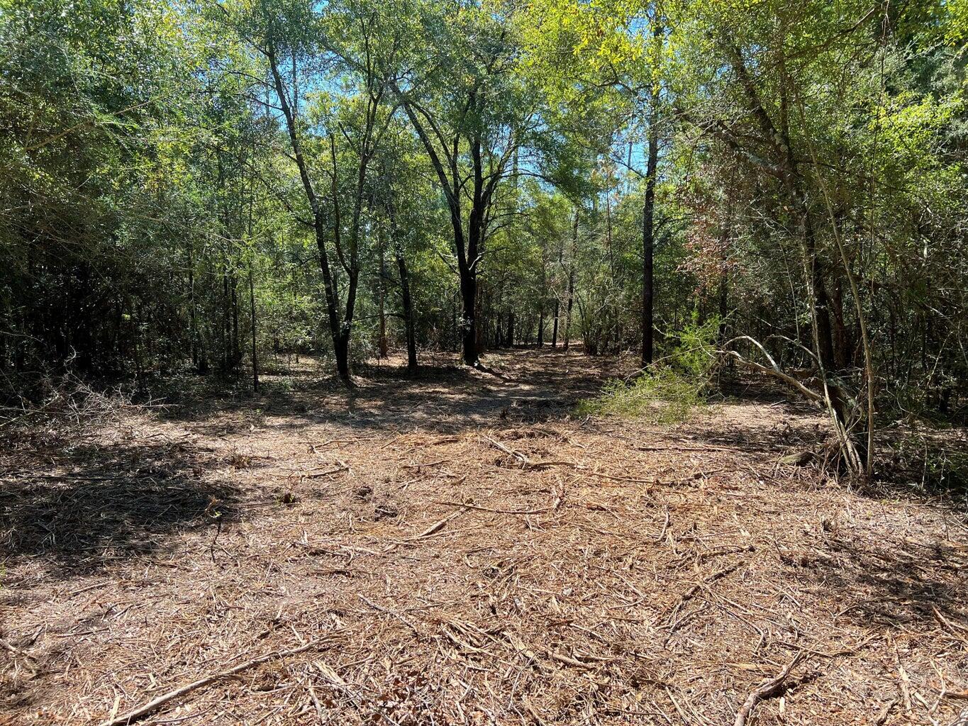 NEW SUBDIVISION - COUNTRY RIDGE ESTATES - Land