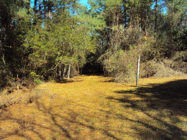 County Taxes $818.04
Blackmon Fire District 104.15
Total $918.04
Does not include Homestead - Residential