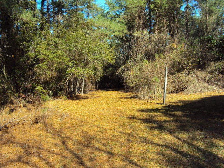 Looking for Country Living, here you
have it. Home has been painted recently,
50 gallon propane tank. Just give listing agent a call anytime.
Home is being sold ''AS IS.''