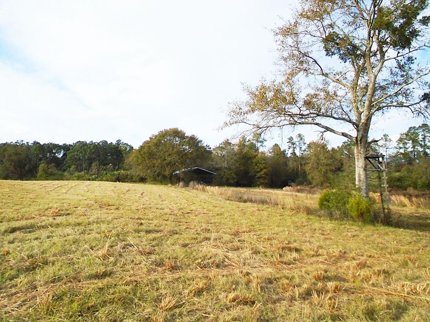 79.9 acres fronting a paved, county road. According to Seller, it includes 3 small ponds, perfect for livestock. Also includes a pole barn. Majority of the property is fenced pasture with a small amount of woodlands. Excellent hunting in the area. Seller is leaving one shooting house.