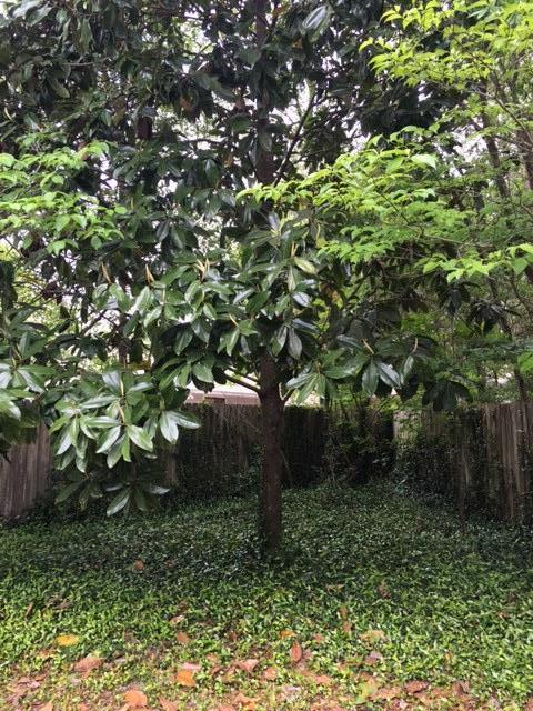 CEDAR RIDGE - Residential