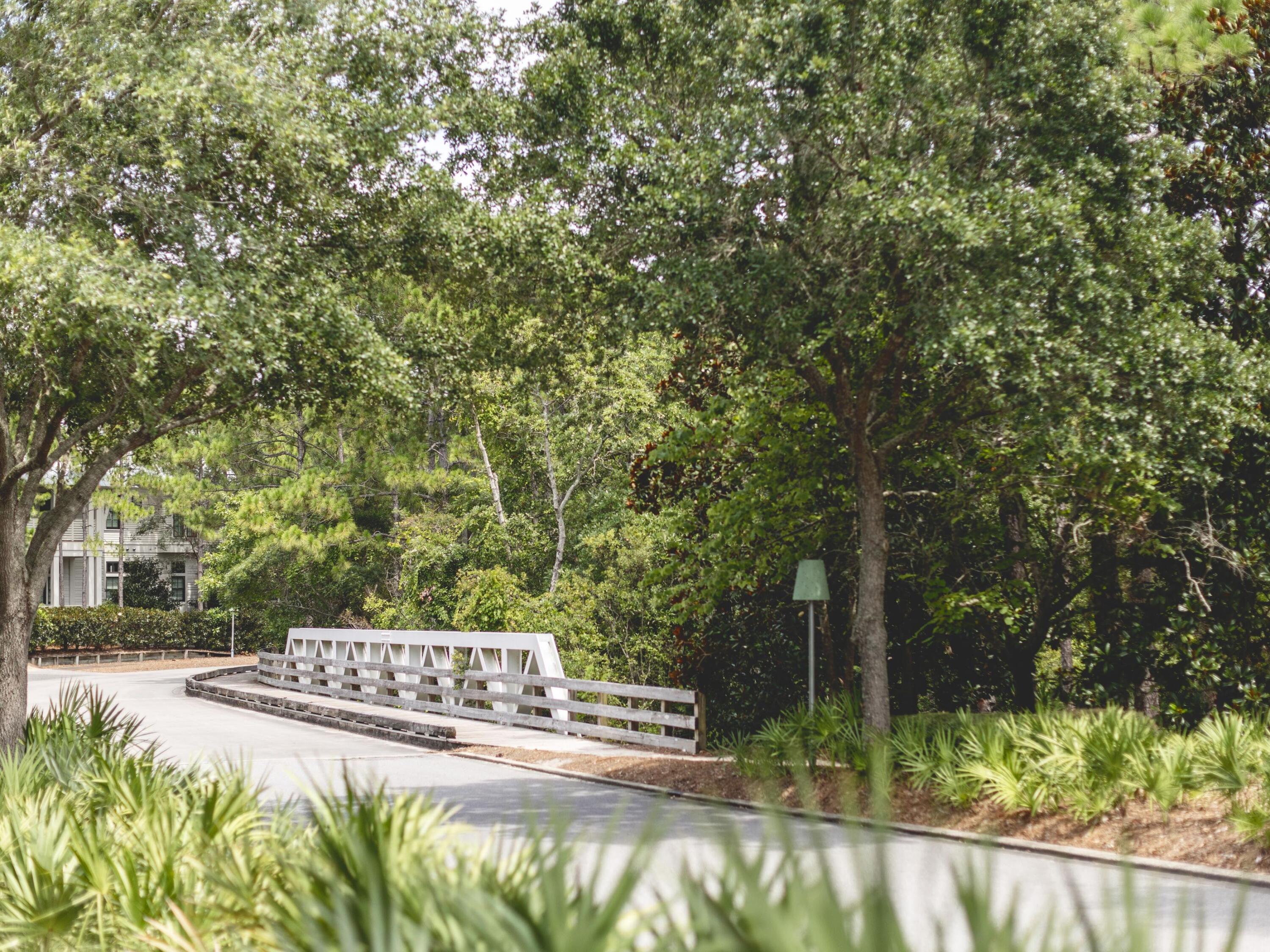 WATERCOLOR - Residential