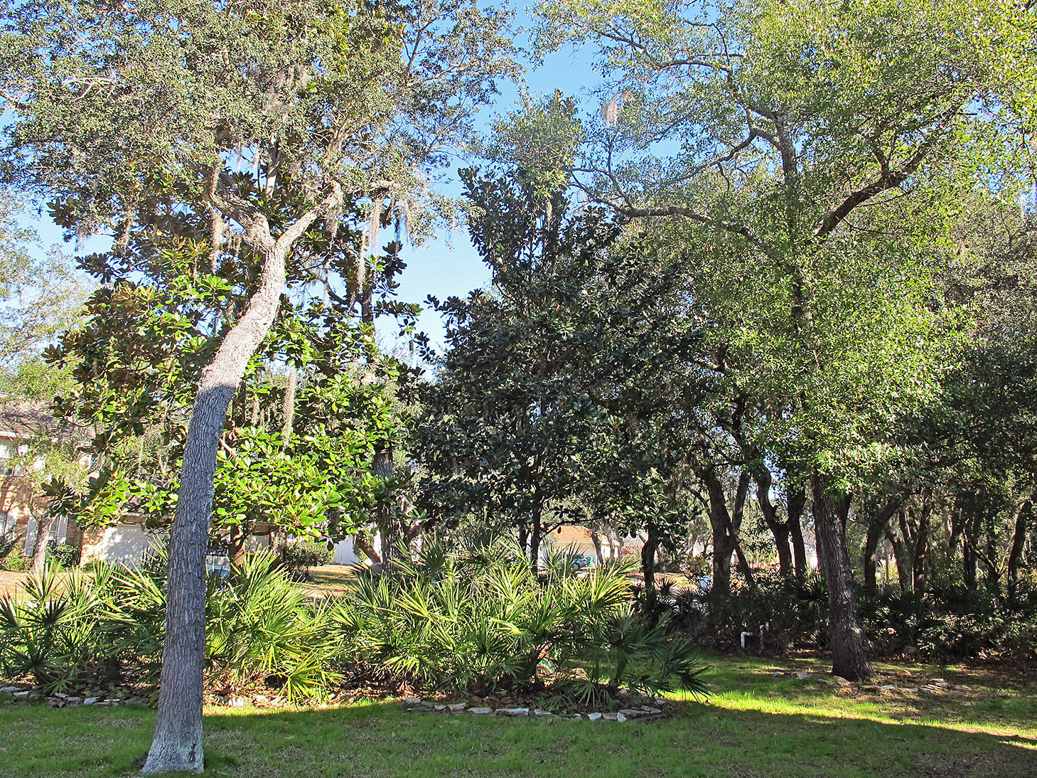 LAKE POINTE - Residential