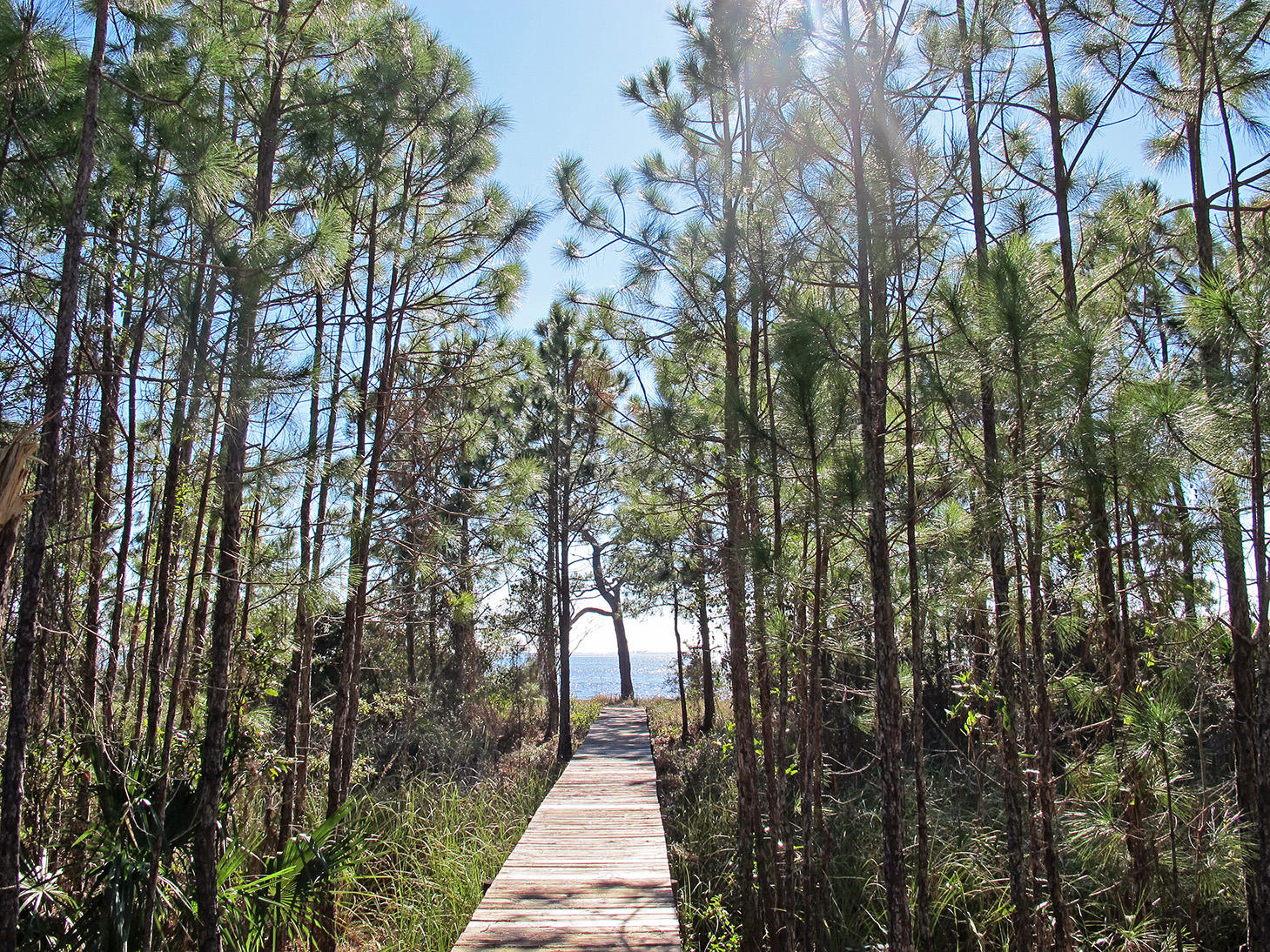 LAKE POINTE - Residential