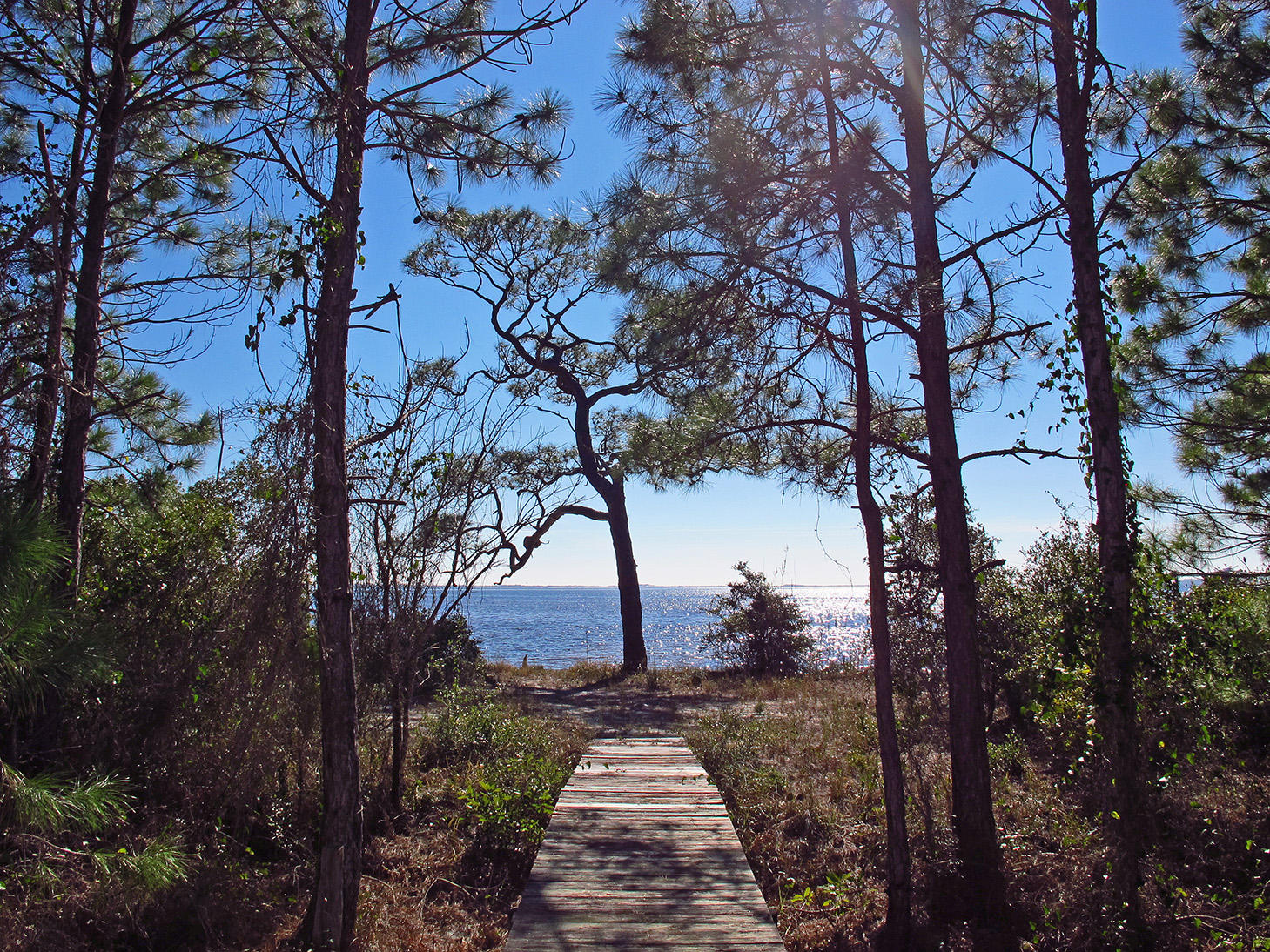 LAKE POINTE - Residential