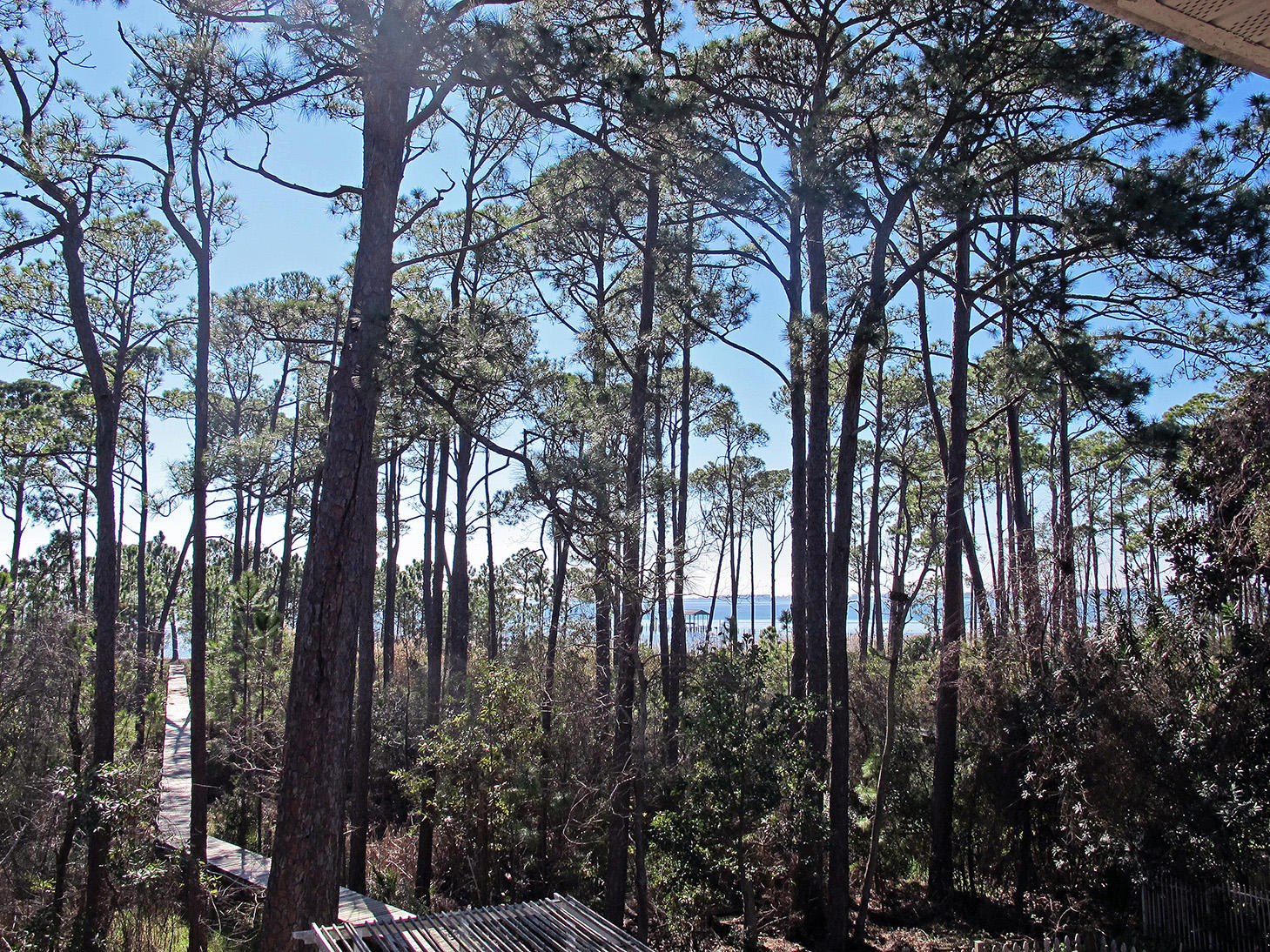 LAKE POINTE - Residential