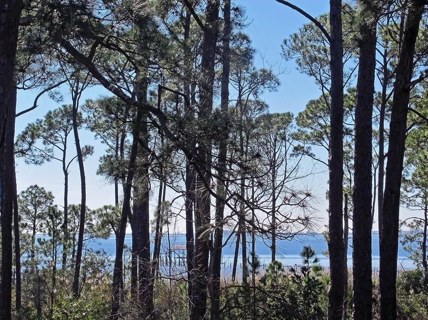 LAKE POINTE - Residential