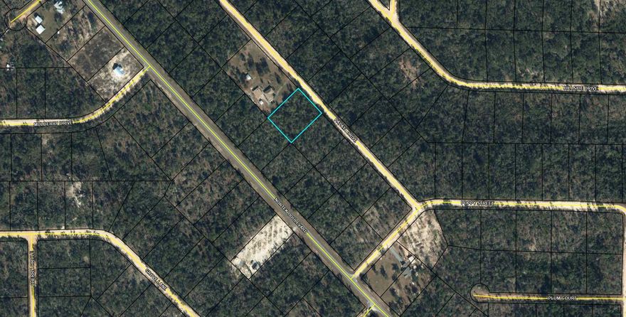 Large 1.1 acre lot in Compass Lake in the Hills. There is a voluntary HOA of $135 a year, but what a great price for all the amenities that are included such as: access to 2 lakes for fishing, tennis, horse stables / riding, rental cabins, RV spots, boat rentals, clubhouse, and a golf range. Being an all-sports lake, enjoy water skiing, tubing, jet skiing, boating, sailing, kayaking & swimming. No need to worry about lunch while out on the water when you have a boat accessible shoreline restaurant. This location is great for someone who enjoys nature and a short drive to the beach since it is located half way between Panama City And Dothan. The area is rich in historical significance, with many restored antebellum plantation homes open for tours or as bed-and-breakfast