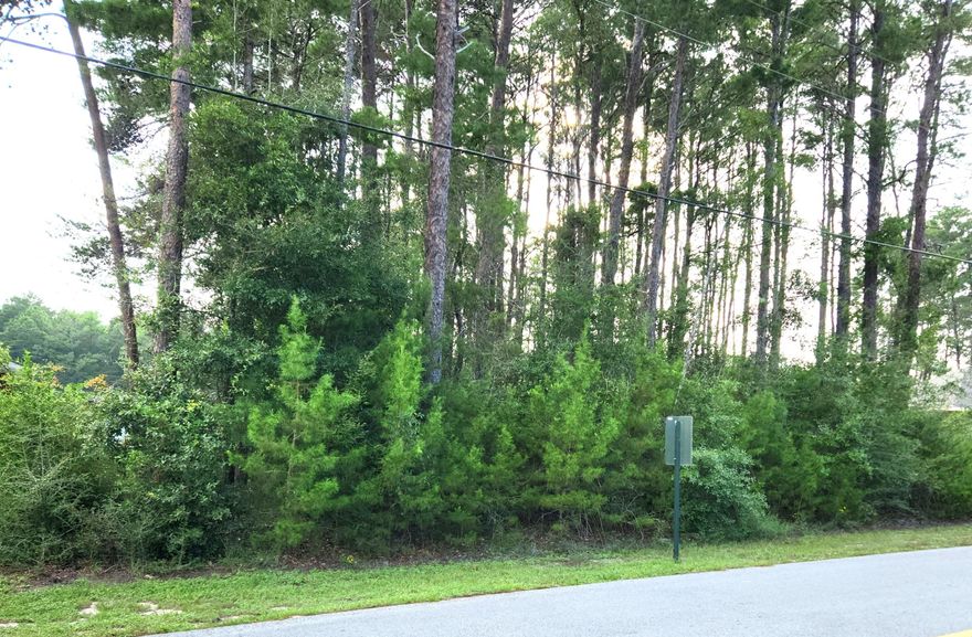 Happy Hollow subdivision is a quiet country and natural life living area located between Freeport and Highway 331 bridge. Just minutes to the white sandy beaches of 30A and the Choctawhatchee Bay. This beautiful subdivision currently has no HOA, but covenants do not allow mobile homes or manufactured homes. The neighborhood has an access point with boat launch and a community dock to Black Creek. Black Creek feeds into the Choctawhatchee and Jolly Bay. Build your dream home on this leveled river/creek front lot!