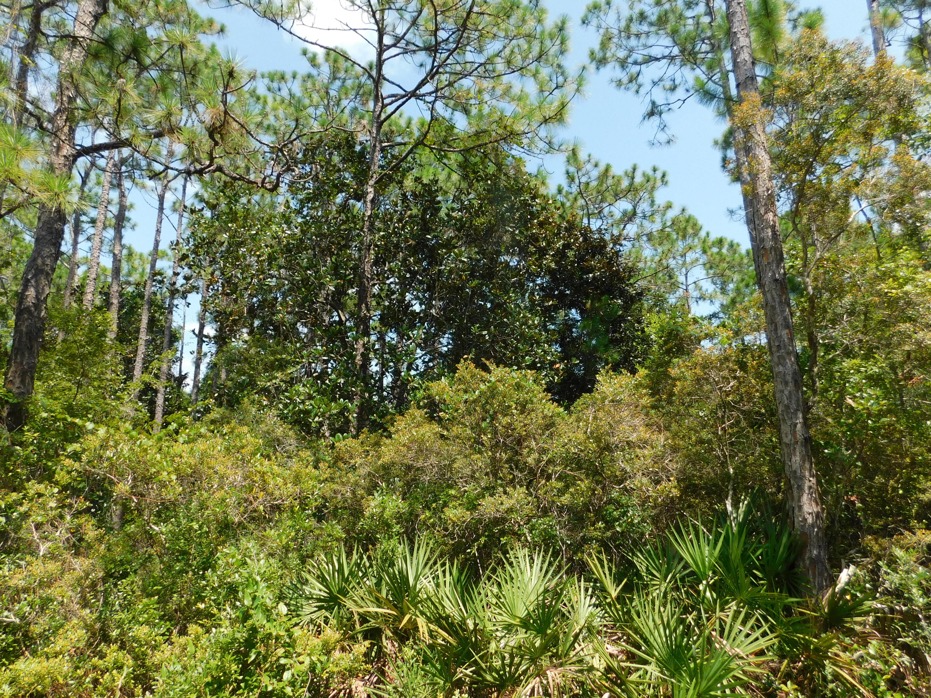 Launch your boat at Cessna Park three blocks away for access to Hogtown Bayou. Appx. three miles straight down Hwy 393 to Ed Walline Park Public Beach and Gulf Place on 30A. East on Hwy.98 is Sacred Heart Hospital and Grand Blvd. shopping center.
