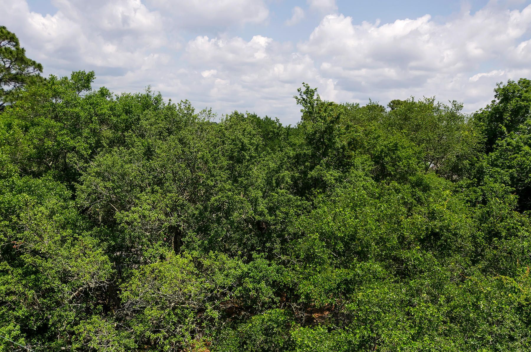 TURQUOISE BEACH 1ST ADDN - Land