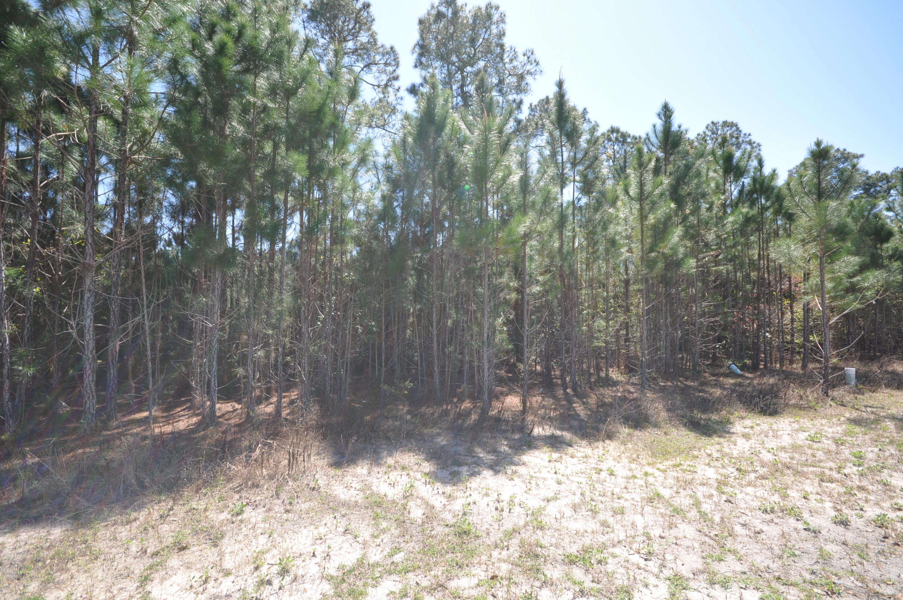 Tradewinds at Topsail - Land