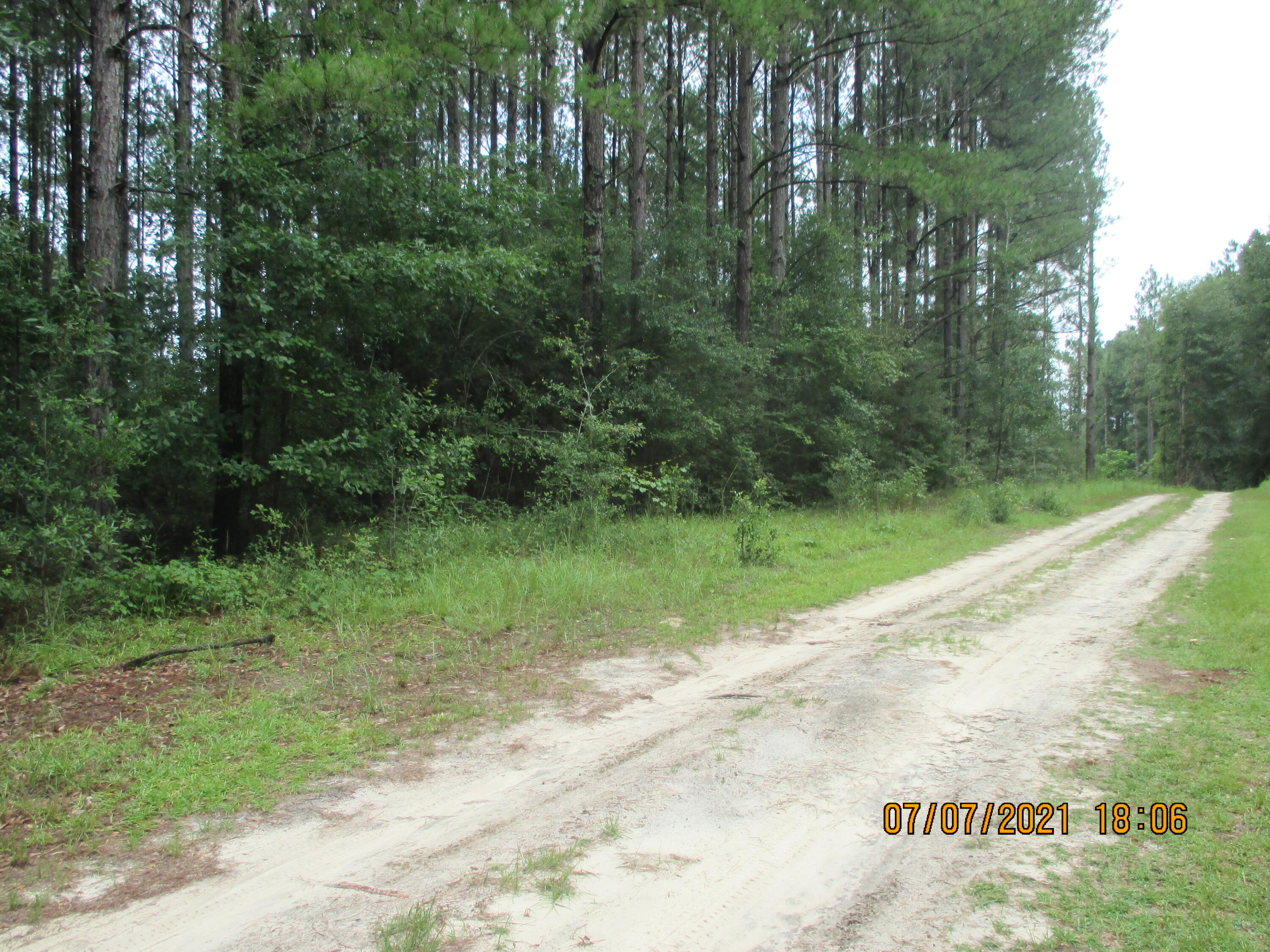 This parcel has been surveyed out of a larger parcel. Survey available. Older mobile home on property has no value. Public water on the property. Connection fee has to be paid.